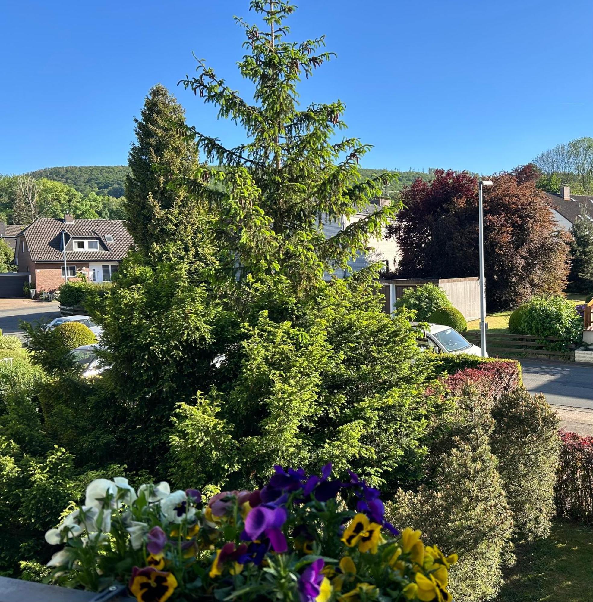 Kleine Auszeit Am Wildgehege Lägenhet Bad Harzburg Exteriör bild