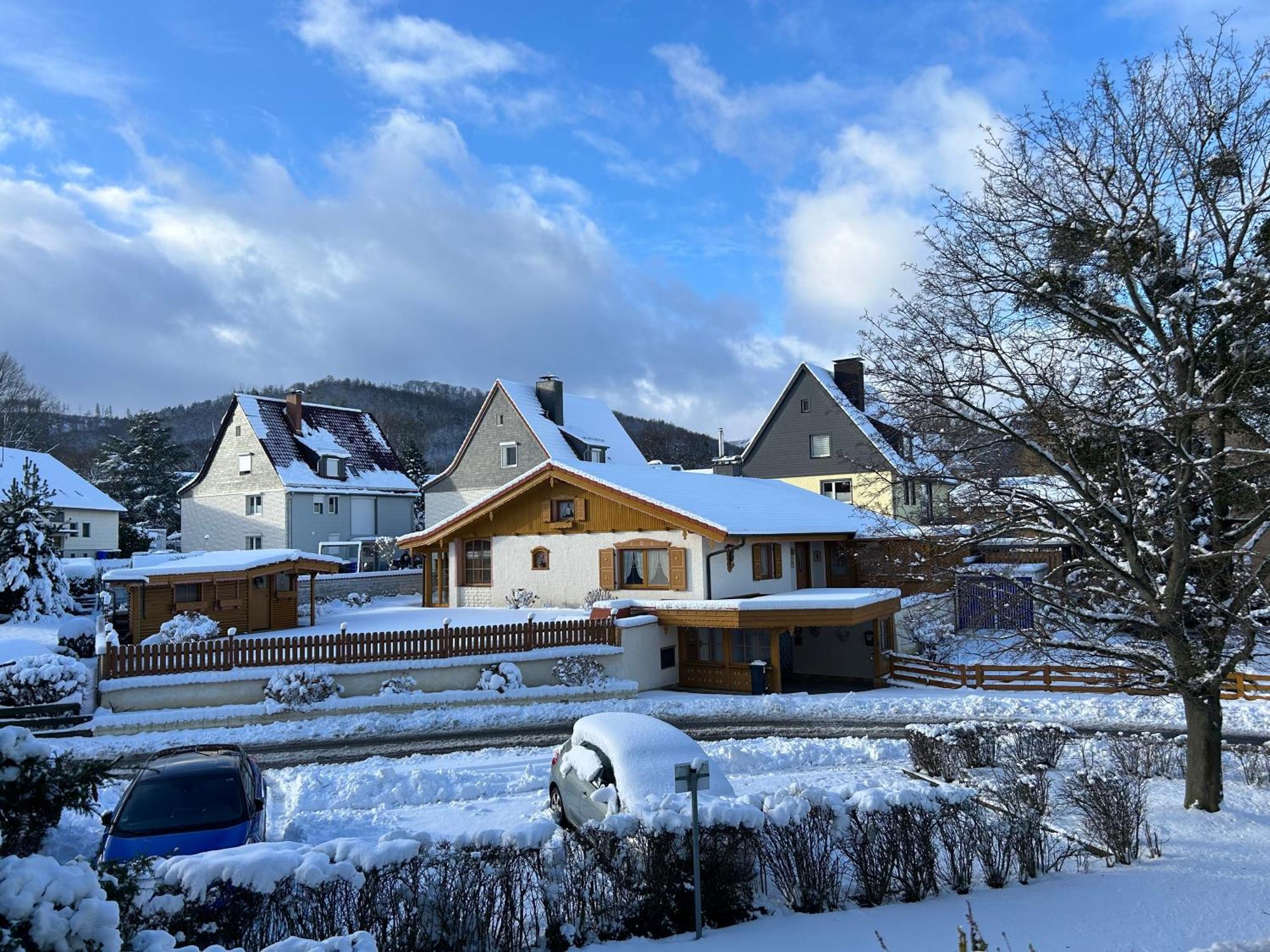 Kleine Auszeit Am Wildgehege Lägenhet Bad Harzburg Exteriör bild